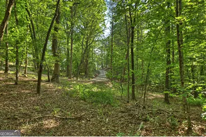 8 Ac McNelley Road, Morganton, GA 30560 - Photo 44