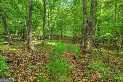 8 Ac McNelley Road, Morganton, GA 30560 - Photo 28