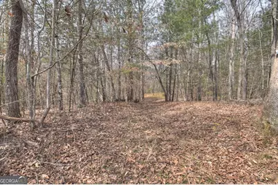 8.52 Ac McNelley Road, Morganton, GA 30560 - Photo 34