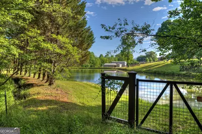 8 Ac McNelley Road, Morganton, GA 30560 - Photo 10