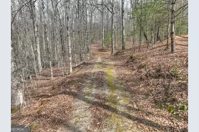 8.52 Ac McNelley Road, Morganton, GA 30560 - Photo 8