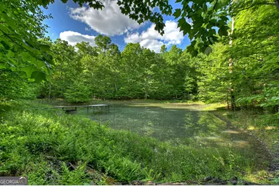 8 Ac McNelley Road, Morganton, GA 30560 - Photo 2