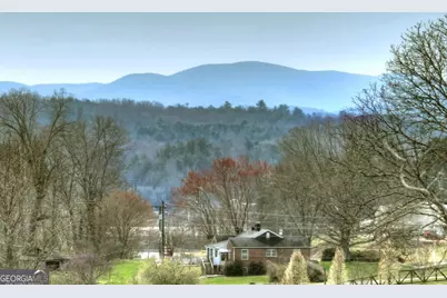 8.52 Ac McNelley Road, Morganton, GA 30560 - Photo 6