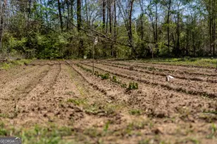 1102 Three Rivers Ln, Uvalda, GA 30473 - Photo 26