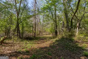 1102 Three Rivers Ln, Uvalda, GA 30473 - Photo 16