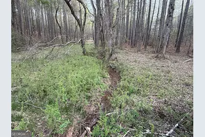 0 Henderson Mountain Road, Fairmount, GA 30139 - Photo 2
