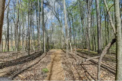 8125 Long Slope Drive, Gainesville, GA 30506 - Photo 86