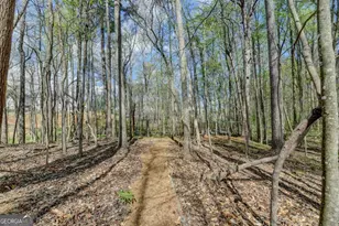 8125 Long Slope Dr, Gainesville, GA 30506 - Photo 86