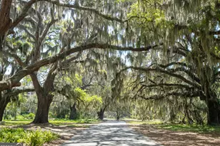 1021 Lanier Blvd, Brunswick, GA 31520 - Photo 48