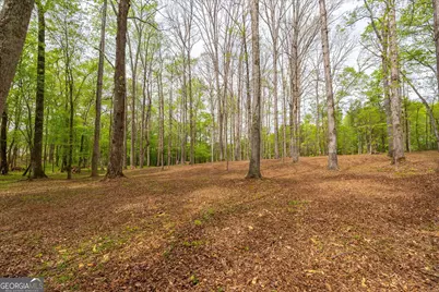 87 Wildwood Drive, Temple, GA 30179 - Photo 20