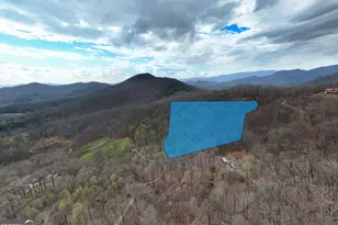 2900 Gribble Edwards Road, Hayesville, NC 28904 - Photo 2