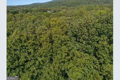 0 Plum Lane, Clarkesville, GA 30523 - Photo 6