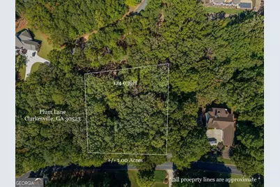 0 Plum Lane, Clarkesville, GA 30523 - Photo 1
