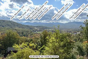 200 Honey Hill Road, Morganton, GA 30560 - Photo 4