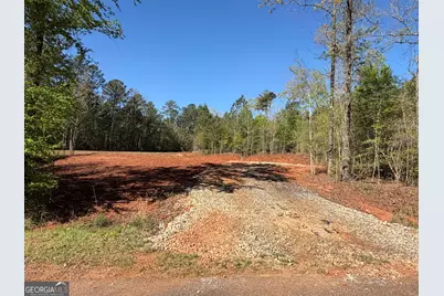0 Andrews Chapel Road, Thomaston, GA 30286 - Photo 1