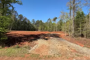0 Andrews Chapel Rd, Thomaston, GA 30286 - Photo 1