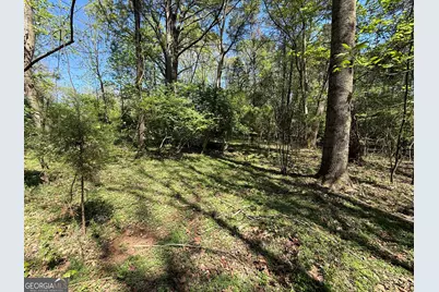 0 Panhandler Circle #(2B), Maysville, GA 30558 - Photo 6