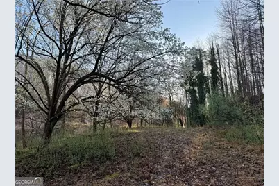 1565 Shoal Creek Road NW, Clermont, GA 30527 - Photo 8