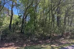 1 47 Acres Roberts Quarters Rd, Concord, GA 30206 - Photo 1