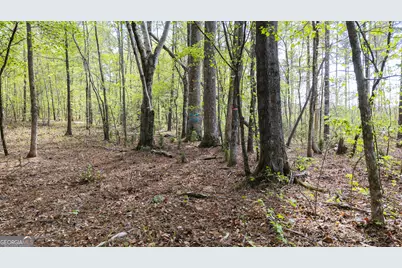 19.74 Acres Davis Lake Road, Pine Mountain, GA 31822 - Photo 30