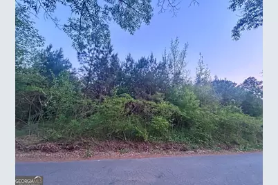 113 Old Alabama Wagon Road, Taylorsville, GA 30178 - Photo 2