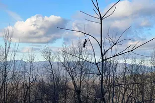 0 Daybreak Rd, Cleveland, GA 30528 - Photo 1