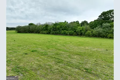 0 Fourteen Lane Road, Hawkinsville, GA 31036 - Photo 20