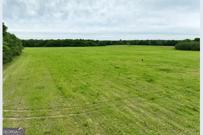 0 Fourteen Lane Road, Hawkinsville, GA 31036 - Photo 10