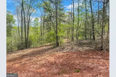 0 Broad River Rd Road, Eastanollee, GA 30538 - Photo 8