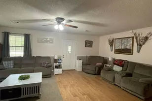 5041 Hwy 169, Glennville, GA 30427 - Photo 4