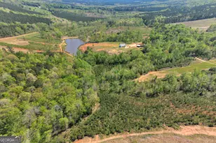 4348 Marshall Stewart Rd, Crawfordville, GA 30631 - Photo 76