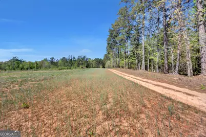 4348 Marshall Stewart Road, Crawfordville, GA 30631 - Photo 70