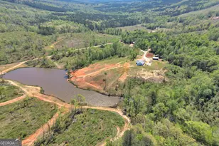 4348 Marshall Stewart Rd, Crawfordville, GA 30631 - Photo 80