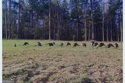 4348 Marshall Stewart Road, Crawfordville, GA 30631 - Photo 54