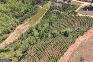 4348 Marshall Stewart Rd, Crawfordville, GA 30631 - Photo 82