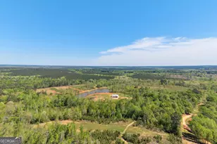 4348 Marshall Stewart Rd, Crawfordville, GA 30631 - Photo 74