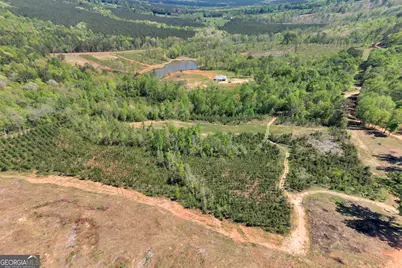 4348 Marshall Stewart Road, Crawfordville, GA 30631 - Photo 58