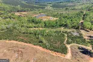 4348 Marshall Stewart Rd, Crawfordville, GA 30631 - Photo 58