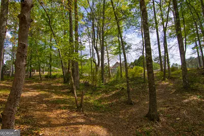 476 Wildwood Plantation Drive, Cataula, GA 31804 - Photo 64