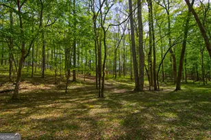 476 Wildwood Plantation Dr, Cataula, GA 31804 - Photo 64