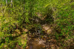 476 Wildwood Plantation Dr, Cataula, GA 31804 - Photo 60