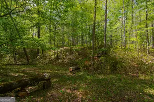 476 Wildwood Plantation Dr, Cataula, GA 31804 - Photo 58