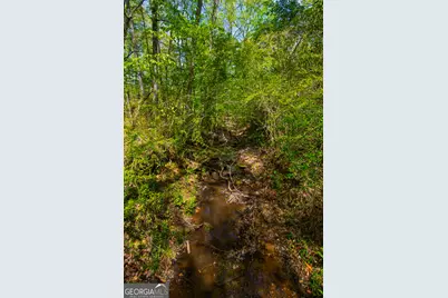 476 Wildwood Plantation Drive, Cataula, GA 31804 - Photo 58