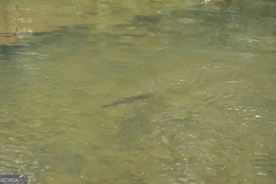 Lot 19 Soque Circle, Clarkesville, GA 30523 - Photo 20