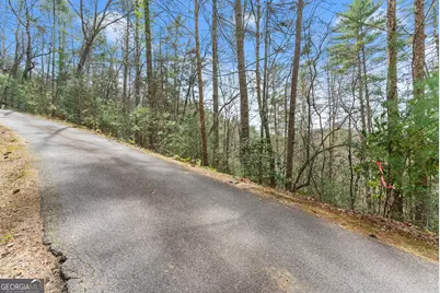 Lot 19 Soque Circle, Clarkesville, GA 30523 - Photo 22