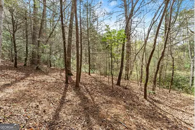 Lot 19 Soque Circle, Clarkesville, GA 30523 - Photo 26