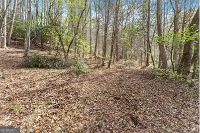 Lot 19 Soque Circle, Clarkesville, GA 30523 - Photo 32