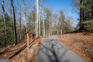 517 Ridge Rd, Blue Ridge, GA 30513 - Photo 42