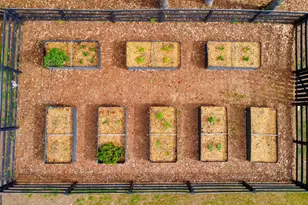 5234 Dewberry Road NW, Acworth, GA 30101 - Photo 60