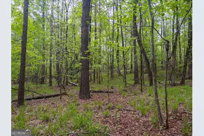 V/L Georgia Kaolin Road, Dry Branch, GA 31020 - Photo 12